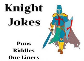 Knight Jokes, Puns, Riddles