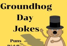 Groundhog Day Jokes