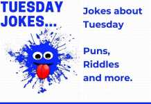 Tuesday Jokes - Jokes for Tuesday