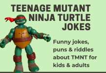 Teenage Mutant Ninja Turtle Jokes - TMNJ jokes