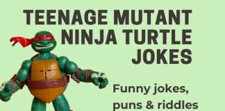 Teenage Mutant Ninja Turtle Jokes - TMNJ jokes