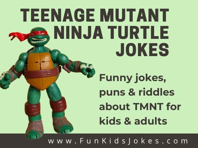 TEENAGE MUTANT NINJA TURTLES JOKE BOOK.