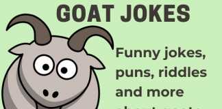Goat Jokes - Clean Goat Jokes