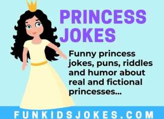 Princess Jokes - Princesses