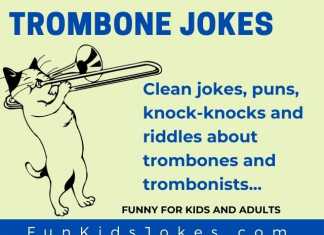 Trombone Jokes - Trombonist Cat