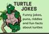 Turtle Jokes - Tortoise, Sea Turtle and Turtle Puns and Riddles