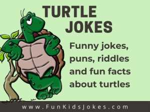 Turtle Jokes - Fun Kids Jokes