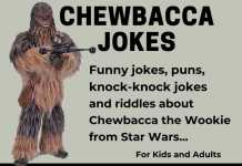 Chewbacca Jokes