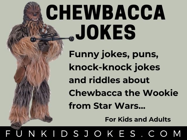 Chewbacca Jokes - Clean Chewbacca Jokes for Kids & Adults