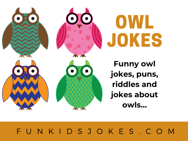 Owl jokes - Clean Owl jokes for Kids & Adults