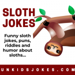 Funny Sloth - Jokes about Sloths
