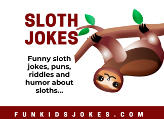 Funny Sloth - Jokes about Sloths