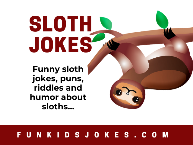 Sloth Jokes - Clean Sloth Jokes for Kids & Adults