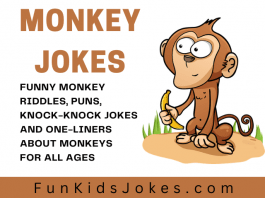 Monkey Jokes For Kids, Clean Monkey Riddles & Puns