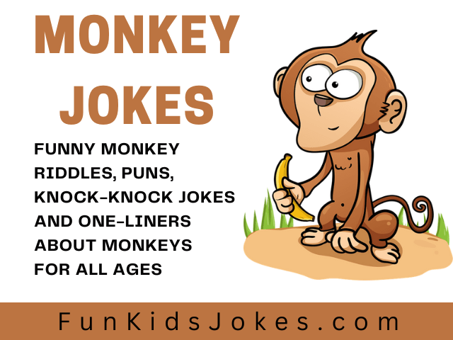 Monkey Jokes for Kids, Clean Monkey Riddles & Puns
