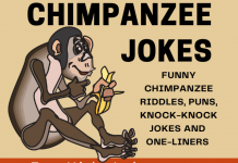 Chimpanzee Jokes, Riddles and Puns
