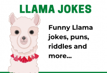 Llama jokes, Riddles and Puns