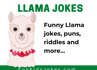 Llama jokes, Riddles and Puns