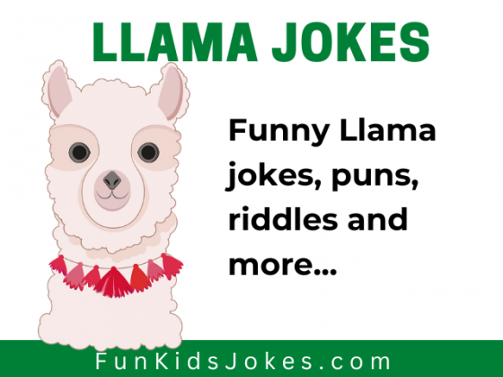 Llama Jokes - Clean Llama Jokes, Puns & Riddles