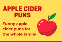 apple cider puns