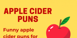 apple cider puns