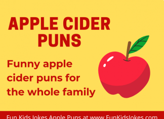 apple cider puns
