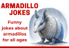 Funny Armadillo jokes