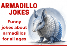 Funny Armadillo jokes