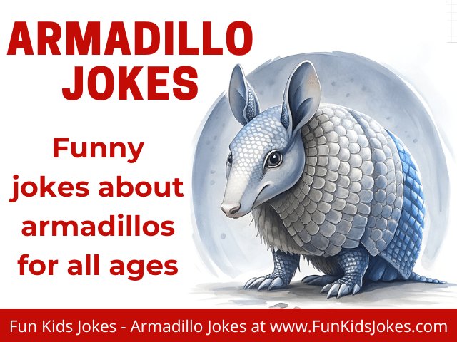 Funny Armadillo jokes