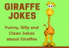 silly giraffe jokes for kids
