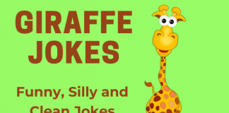 silly giraffe jokes for kids