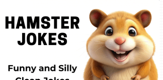 Hamster Jokes for Kids