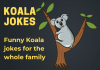 Koala Jokes - Koala Bear Jokes