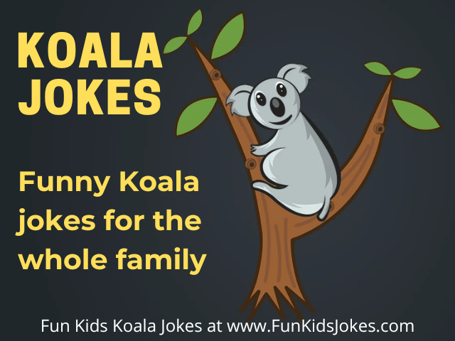 Koala Jokes - Koala Bear Jokes