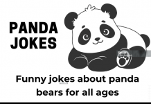 Panda Bear Jokes for Kids