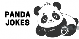 Panda Bear Jokes for Kids