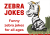 Zebra Jokes - Silly Jokes About Zebra