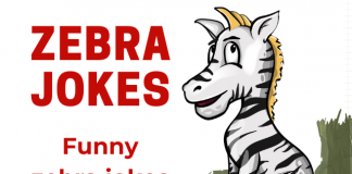 Zebra Jokes - Silly Jokes About Zebra