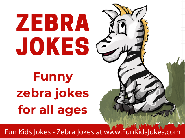 Zebra Jokes - Silly Jokes About Zebra