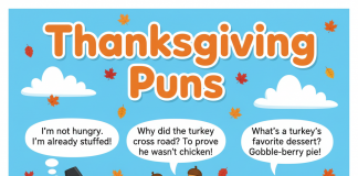 Cute Thanksgiving illustration with turkeys and pumpkins for kids’ puns